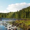 Lake Onega In Karelia
