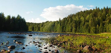 Lake Onega In Karelia