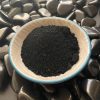 Shungite Powder