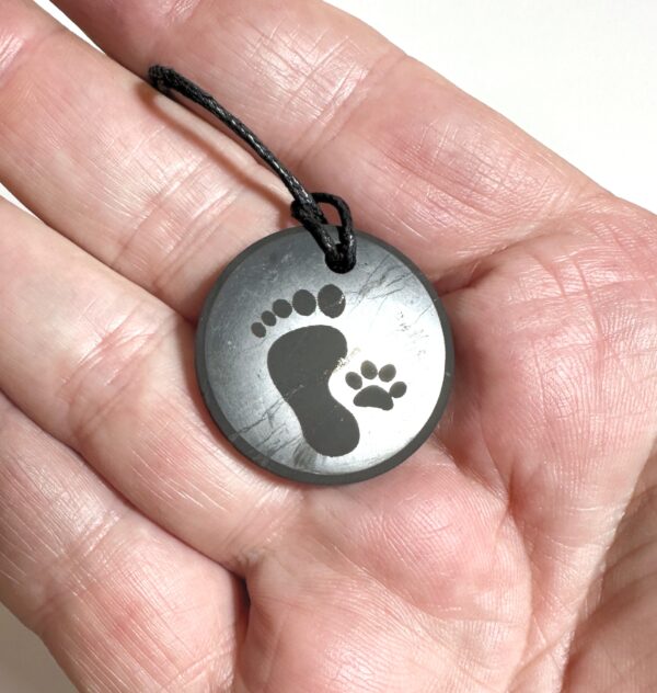 Shungite Pendant with footprint and paw print