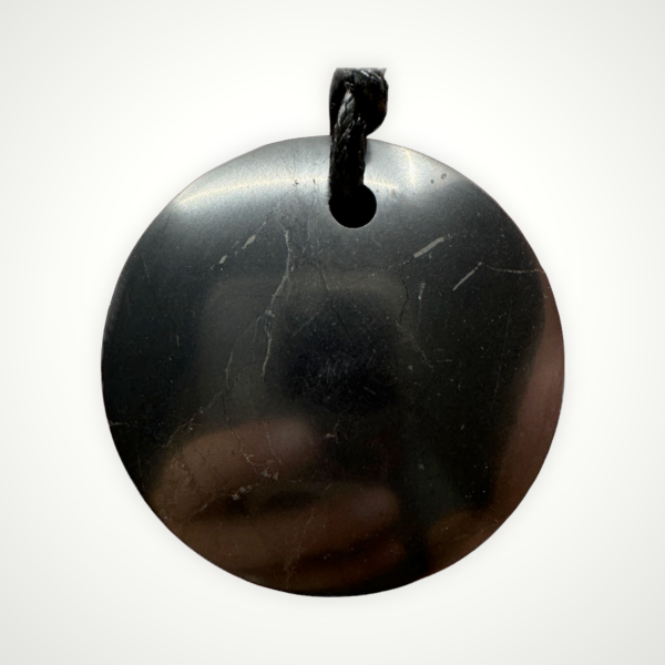 Shungite Pendant Lens