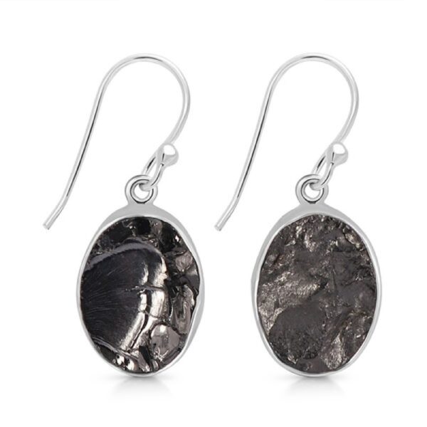 Elite Shungite Earrings - Oval