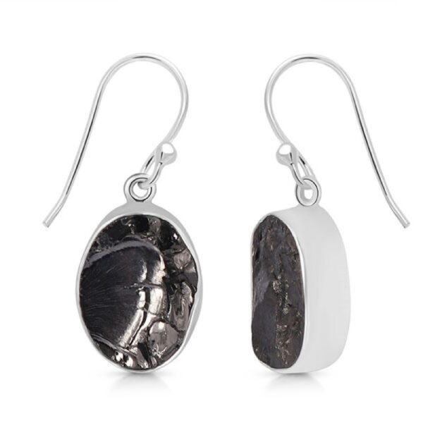 Elite Shungite Earrings - Oval