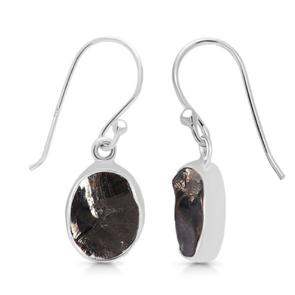 Elite Shungite Earrings - Oval