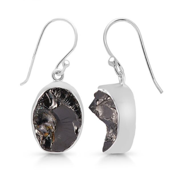 Elite Shungite Earrings - Oval