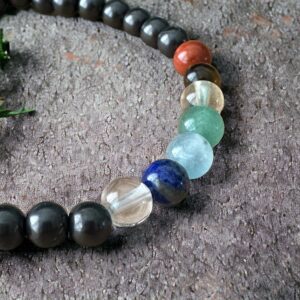 Shungite Chakra Bracelet 6mm beads