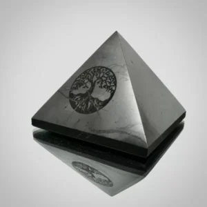 Shungite Tree Of Life Pyramid