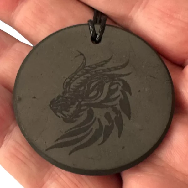 Shungite Pendant Dragon