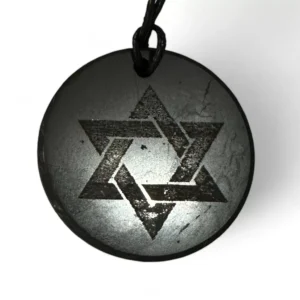 Shungite Pendant Star of David