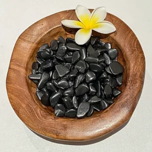 Shungite Tumble Stones