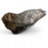 Elite Petrovsky Shungite 141 gram