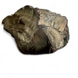 Elite Petrovsky Shungite 141 gram