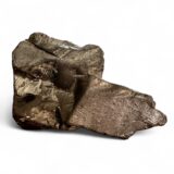 Elite Petrovsky Shungite 144 gram