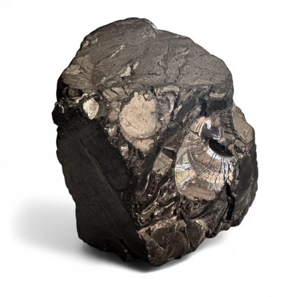 Elite Petrovsky Shungite 152 gram
