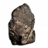 Elite Petrovsky Shungite 152 gram