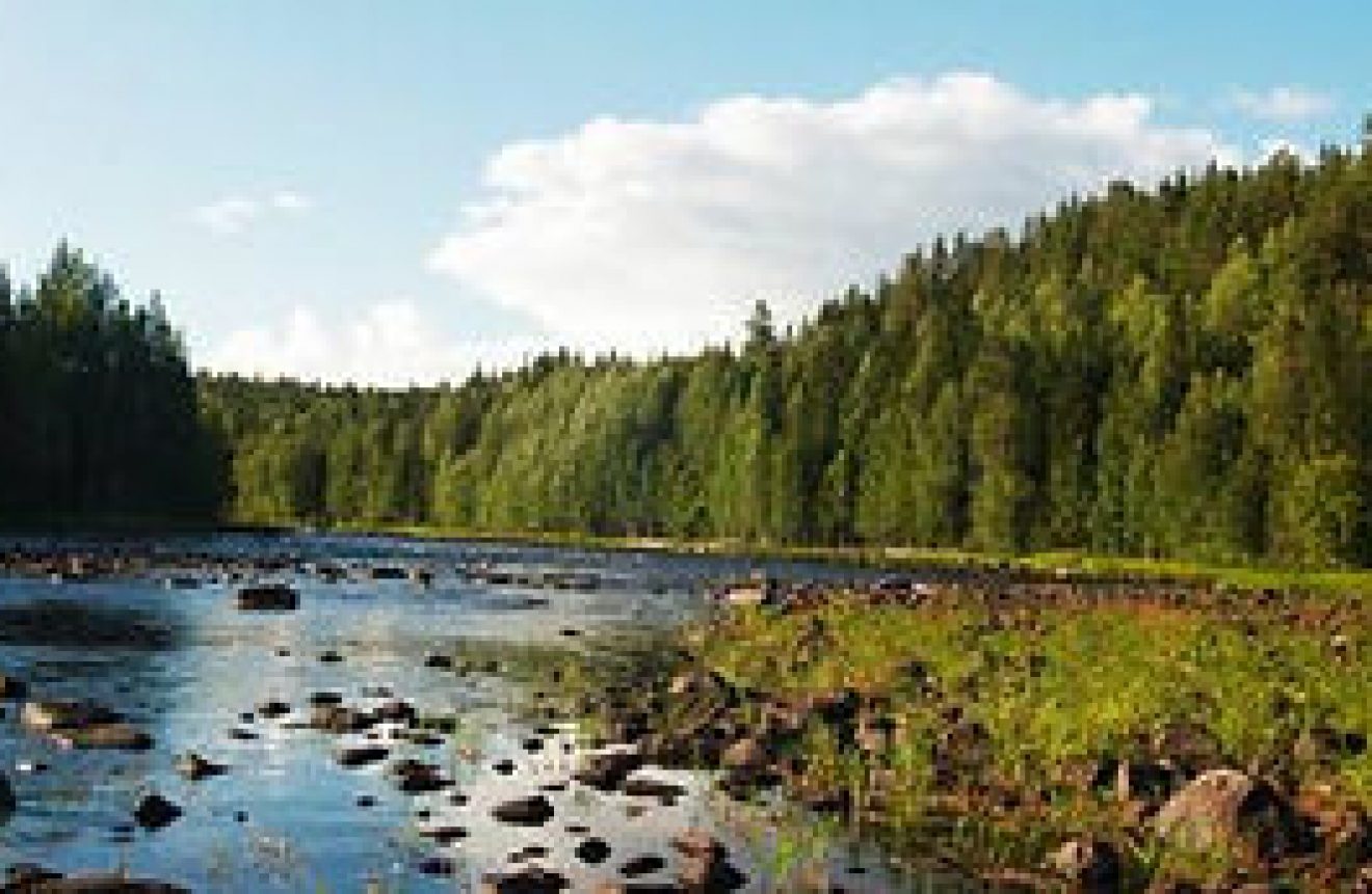 Lake Onega In Karelia